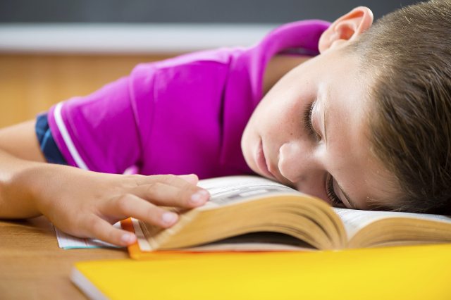 Tired schoolboy sleeping on book. (Thinkstock)