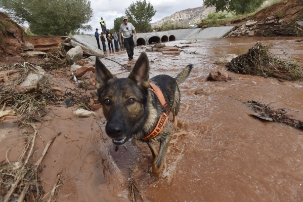 Rescuers search along the Short Creek bank after a flash flood in Hildale, Utah September 15, 2015. At least eight people were killed near Utah‘s border with Arizona when flash floods trigge ...
