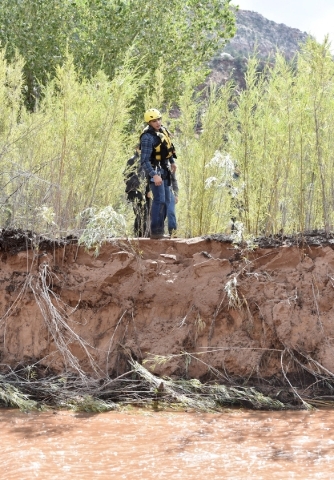 A rescuer walks along the bank of Short Creek while searching for missing residents after a flash flood in Hildale, Utah September 15, 2015. At least eight people were killed near Utah‘s bor ...