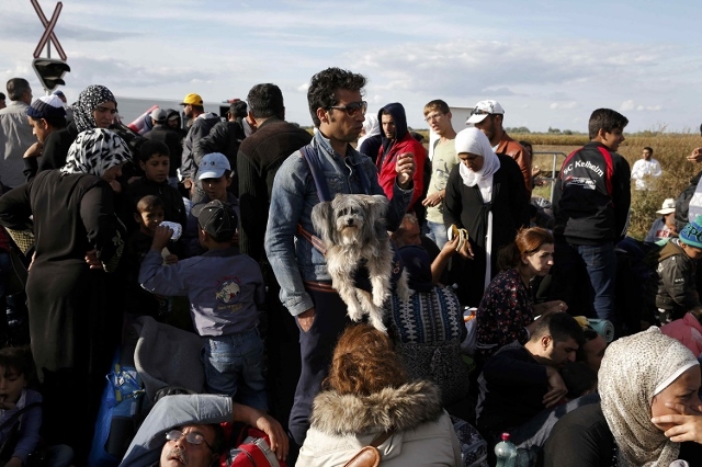 Migrants wait for buses in a makeshift camp at a collection point in the village of Roszke, Hungary, September 7, 2015. (Reuters/Marko Djurica)