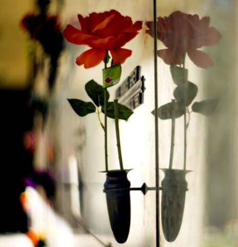 A flower is placed on an entombment wall at Palm Downtown Mortuary and Cemetery, 1325 N. Main Street on Friday, Oct. 2, 2015. Jeff Scheid/ Las Vegas Review-Journal Follow @jlscheid