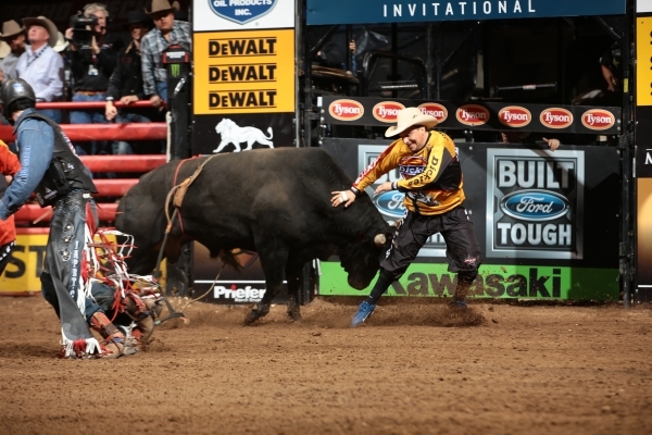 Born to ride: Bull riders and bullfighters share their passion for