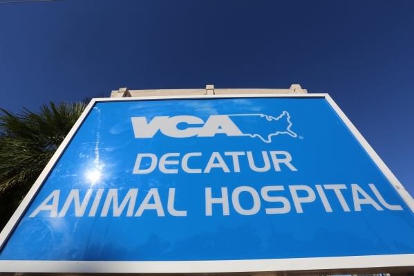 Work underway on veterinarian hospital Business