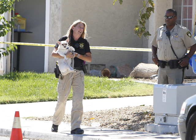 A Clark County animal control officer carries a dog that was found in the house where three people were found dead after a shooting in a southeast valley neighborhood Friday, Oct. 2, 2015 in the 7 ...