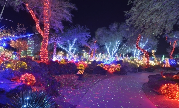 30th Annual Holiday Cactus Garden Lights