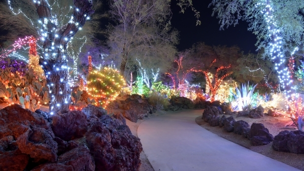 Ethel M Cactus Garden Lights Up For The Holiday Season Photos Part Of The Holiday Lights Display Is Shown At Ethel M Cactus Garden 2