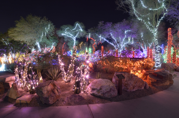Ethel M Cactus Garden Lights Up For The Holiday Season Photos