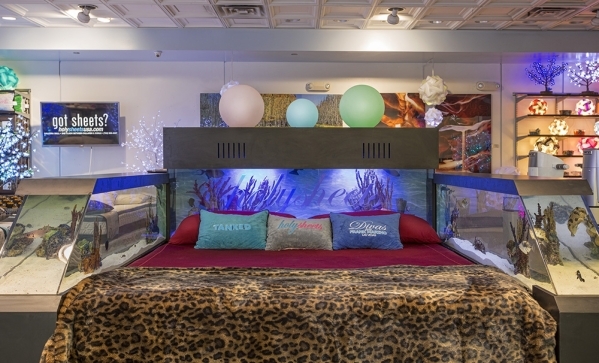 Fish Tank Headboard