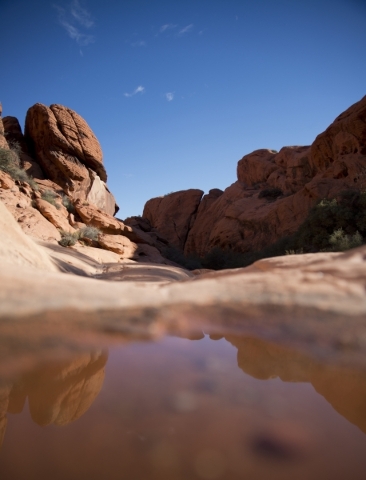 A pool of water from recent rainfall is seen inside the scenic loop of the Red Rock Canyon National Conservation Area on Monday, Nov. 16 2015. Red Rock is celebrating its 25th anniversary as a nat ...