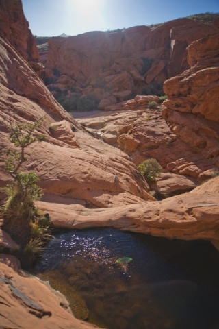 A pool of water from recent rainfall is seen inside the scenic loop of the Red Rock Canyon National Conservation Area on Monday, Nov. 16 2015. Red Rock is celebrating its 25th anniversary as a nat ...