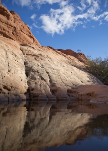 A pool of water from recent rainfall is seen inside the scenic loop of the Red Rock Canyon National Conservation Area on Monday, Nov. 16 2015. Red Rock is celebrating its 25th anniversary as a nat ...
