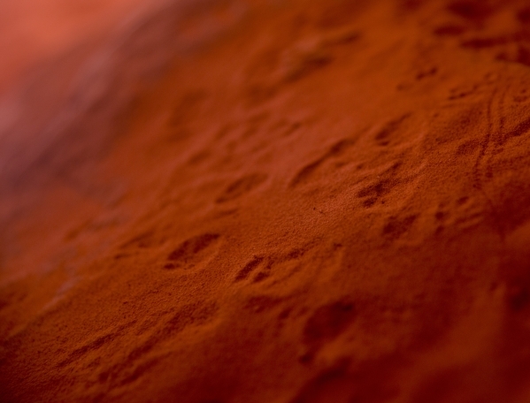 Small animal footprints are seen inside the scenic loop of the Red Rock Canyon National Conservation Area on Monday, Nov. 16 2015. Red Rock is celebrating its 25th anniversary as a national conser ...