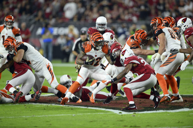 arizona cardinals cincinnati bengals