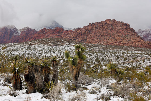 Snowfall can be seen at Red Rock Canyon National Conservation Area Monday, Feb. 23, 2015, in Las Vegas. (Ronda Churchill/Las Vegas Review-Journal)