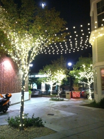 Lights are wrapped around the trunk of trees for a festive look. COURTESY COURTNEY LIGHTS