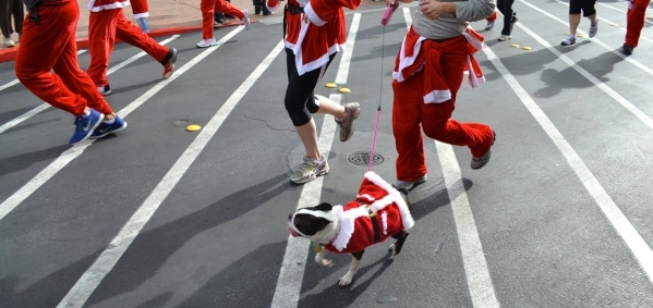 A dog participates with its owner in the 2012 Great Santa Run. Ginger Meurer/Special to View