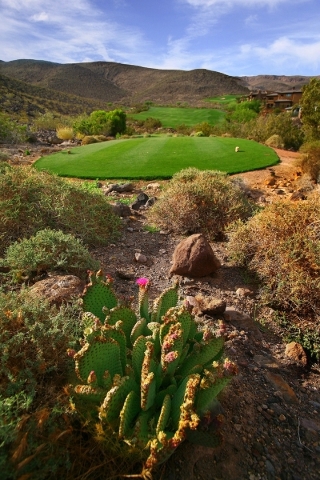The  Dragon Ridge Golf Course is surrounded by desert mountains. COURTESY