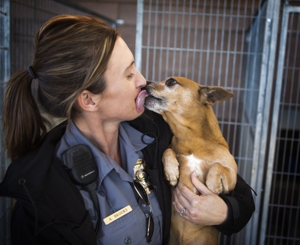 Thumper the dog licks animal control officer AJ Brooks face at the Boulder City Animal Control Shelter, 810 Yucca St., on Tuesday, Dec. 1, 2015. Former Boulder City Animal Control supervisor Mar ...