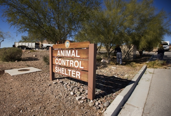 Boulder City Animal Control Shelter, 810 Yucca St., is shown Tuesday, Dec. 1, 2015. A now-retired Boulder City animal shelter supervisor was under criminal investigation earlier this year for ille ...