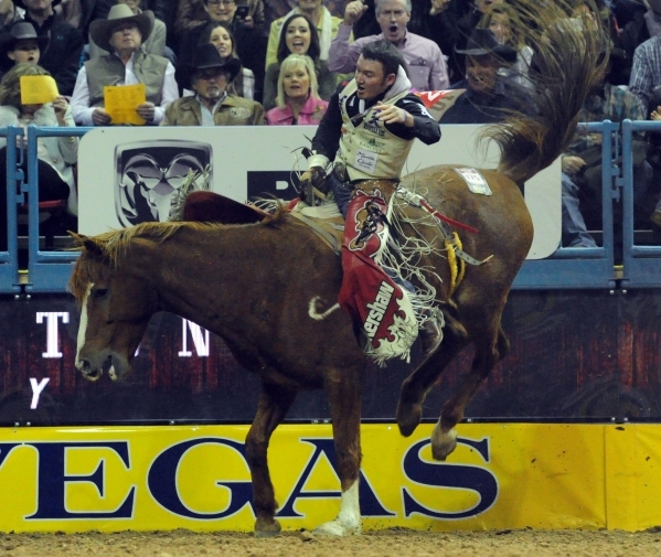 National Finals Rodeo 2025 Results Ruth D Pearson