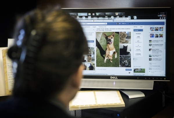 Animal control officer Ann Anabnitt views the department‘s Facebook page at the Boulder City Animal Control Shelter,810 Yucca St., on Tuesday, Dec. 1, 2015. A now-retired Boulder City Animal ...