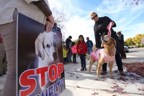 Rachel Roberts-Levi pets her dog Lucie at a rally at the Boulder City  Police Department to demand a case of animal cruelty against former Animal  Control Supervisor Mary Jo Frazier be sent