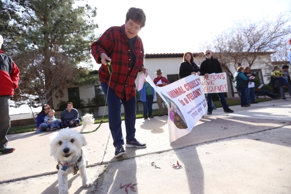 Sharon Meleo holds Zoro‘s leash at a rally at the Boulder City Police Department  to demand a case of animal cruelty against former Animal Control Supervisor Mary Jo Frazier be sent to the C ...