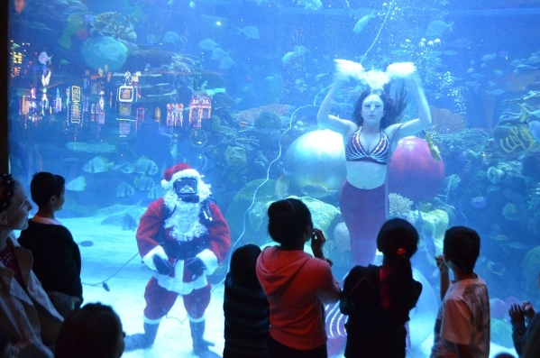 Underwater Santa, aka Patrick McCormick, and his mermaid interact with visitors at the Silverton. Ginger Meurer/Special to View