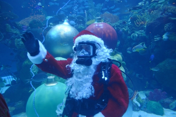 Underwater Santa, aka Patrick McCormick, interacts with visitors at the Silverton. Ginger Meurer/Special to View