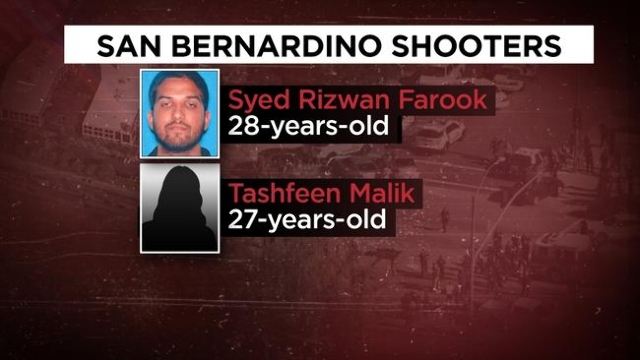 Syed Rizwan Farook -- who along with his wife, Tashfeen Malik, carried out the San Bernardino shooting massacre -- apparently was radicalized and in touch with people being investigated by the FBI ...