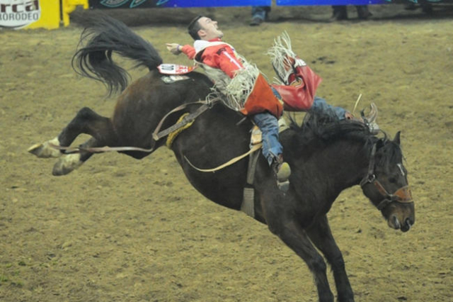 NFR Bull Riding Injury: The Brutal Reality