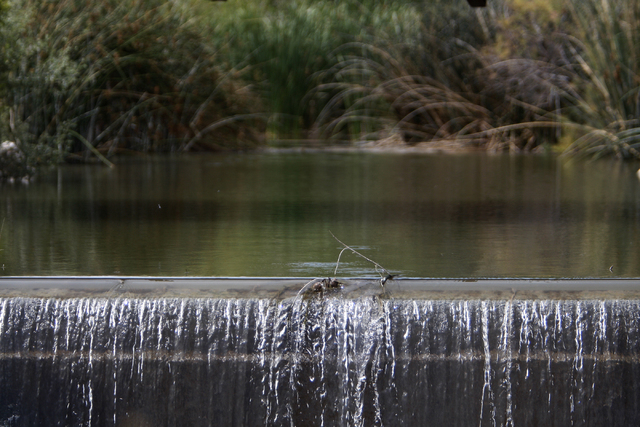 Water flows through the Las Vegas Wash in the Clark County Wetlands Park on Thursday, June 4, 2015, in Las Vegas. Almost every drop of water used indoors in the valley is recycled. (James Tensuan/ ...