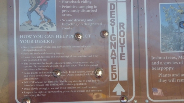 Bullet holes mark an information kiosk at Gold Butte, an area that is supposed to be managed as an area of critical environmental concern, but that a preservation group says has seen an increasing ...