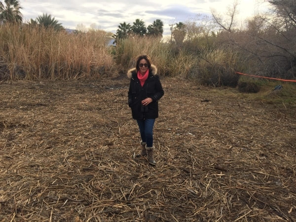 Susan Sorrells tours a marsh on her property in Shoshone, Calif., in December that is being turned into habitat for the endangered Amargosa vole. (Photo courtesy Amargosa Conservancy)