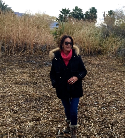 Susan Sorrells tours a marsh on her property in Shoshone, Calif., in December that is being turned into habitat for the endangered Amargosa vole. (Photo courtesy Amargosa Conservancy)