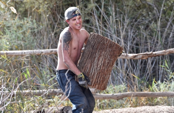 Worker Chris Sellers struggles to carry a log to a nearby truck as he and other workers for the Amargosa Conservancy create a habitat for the now endangered Amargosa vole in Shoshone, Calif., on T ...