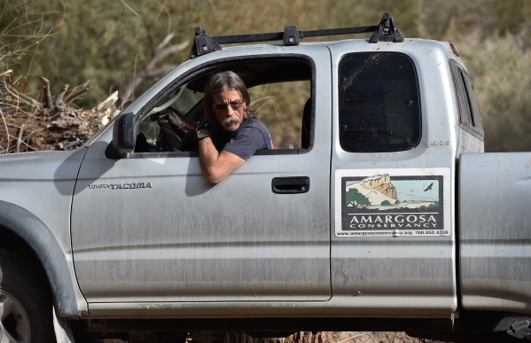 Worker Danny Macbrohn backs up a pickup truck to collect debris as the Amargosa Conservancy works to create a new habitat for the now endangered Amargosa vole in Shoshone, Calif., on Tuesday, Dec. ...