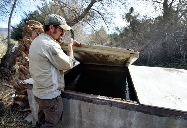 Amargosa Conservancy executive director Patrick Donnelly checks the water level of a spring fed water collection box that will support a new habitat that the conservancy is creating for the now en ...