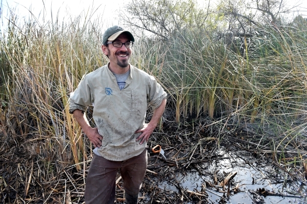 Amargosa Conservancy executive director Patrick Donnelly tours the Shoshone Spring, the site of a habitat restoration project that will support the now endangered Amargosa vole in Shoshone, Calif. ...