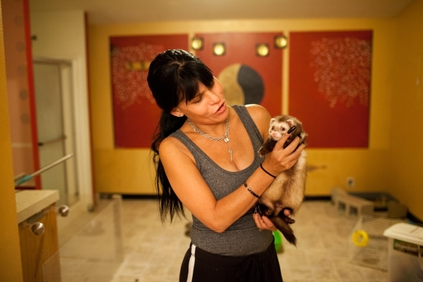 Madam Jennifer O´Kane shows her pet ferret at her Calico Club in Battle Mountain on Friday, Dec. 18, 2015. The Calico is the only brothel in rural Lander County. (Randi Lynn Beach/Las Vegas Revie ...