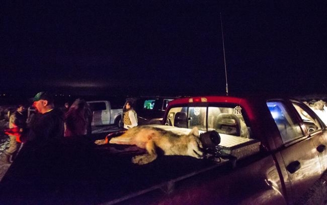 Robert McKnight, far left, stands by his truck as anti-government protesters guard the entrance of Malheur National Wildlife Refuge, which they are currently occupying, near Burns, Ore. on Sunday, ...