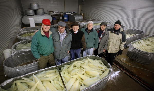 BRIAN PETERSON þâ brianp@startribune.com Day, MN - 12/17/2008 (L to R) Dick Sundberg, 70, Bill Darling, 69, Andy Urness, 78, Richard McClellan, 76, Dean Mahlke, 77 and Dennis Slattengr ...
