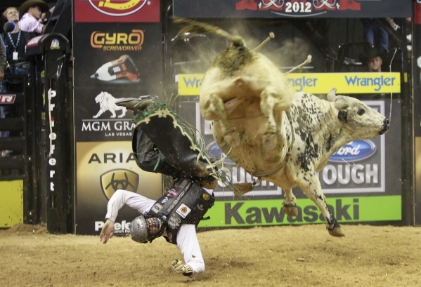 Jordan Hupp of the U.S. gets thrown off a bull during the Built Ford Tough Series Professional Bull Riders (PBR) World Finals at the Thomas & Mack Center in Las Vegas, October 28, 2012. REUTER ...