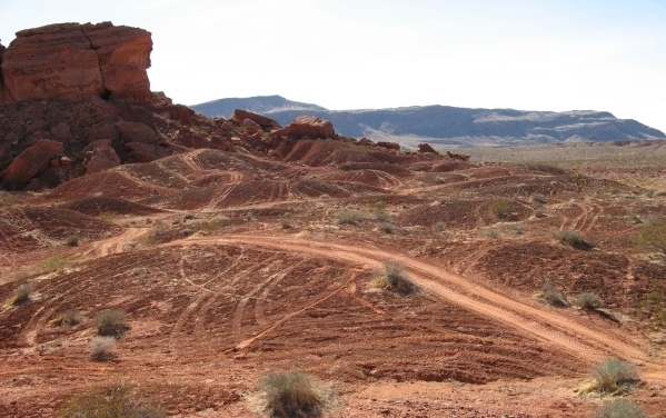 A photo from an August report by Friends of Gold Butte shows off-road vehicle tracks, some of them fresh, near a petroglyph site on public land in northeast Clark County. (Friends of Gold Butte)