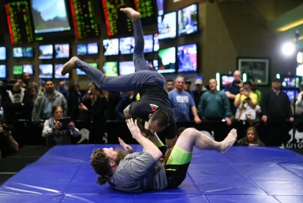Roy Nelson, below, participates in an open workout ahead of UFC Fight Night 82 at the MGM Grand hotel-casino in Las Vegas on Thursday, Feb. 4, 2016. Chase Stevens/Las Vegas Review-Journal Follow @ ...
