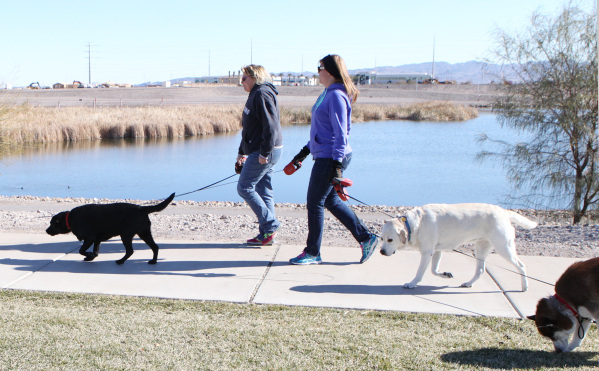 Liz Voors, left, and Renee Lawson of Henderson walk their dogs, Ellie, left, Mack and Roman during a sunny morning at Cornerstone Park on Wednesday, Feb. 3, 2016, in Henderson. (Bizuayehu Tesfaye/ ...