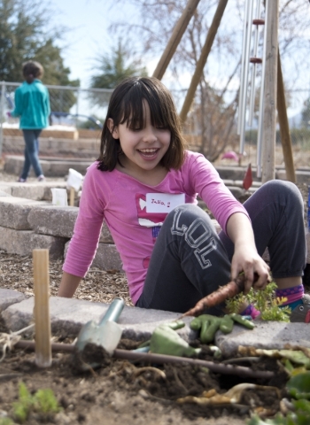 Julia Olguin celebrates after wrenching a carrot from the ground during a Junior Master Gardener program for children at the University of Nevada Cooperative Extension‘s Lifelong Learning Ce ...
