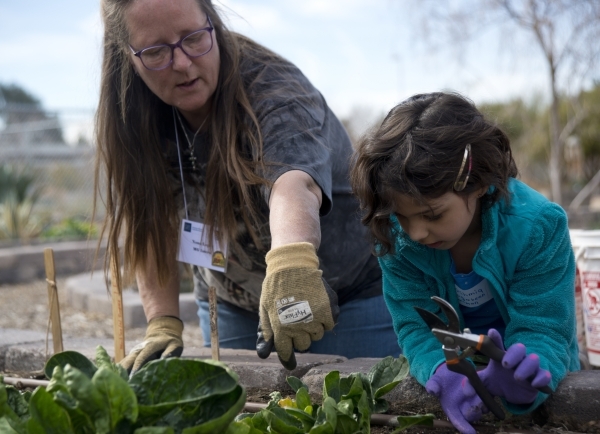 Nona Lopez, left, instructs Nashimia Magabeen Hallman on the proper way to harvest leaves during a Junior Master Gardener program for children at the University of Nevada Cooperative Extension&lsq ...