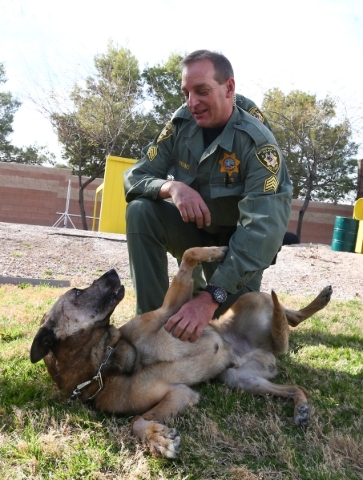 Las Vegas police Sgt. Eric Kerns pets his partner, K9 officer Nicky, who was attacked by a suspect with a machete on Friday, at South Central Area Command in Las Vegas on Wednesday, Feb. 17, 2016. ...