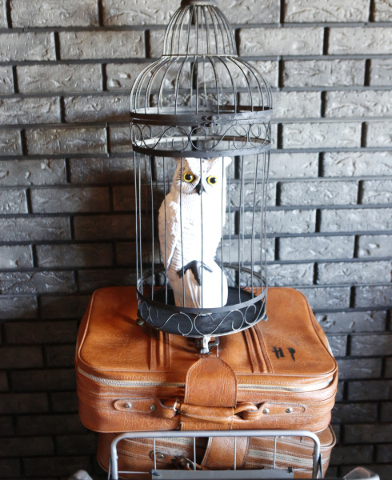 Carved wooden owl in a cage is shown inside Bad Owl Coffee on 10575 S. Eastern Ave., in Henderson Friday, Feb. 19, 2016. Bad Owl Coffee had its grand opening Feb. 13 and offers a Harry Potter-them ...